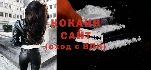 индика Михайлов
