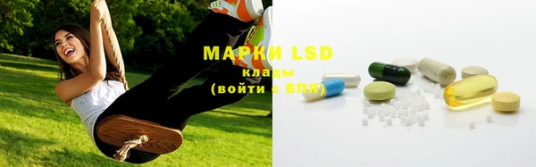 индика Михайлов