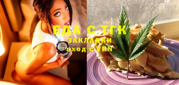 индика Михайлов