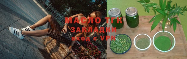 индика Михайлов